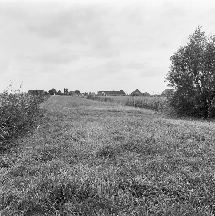 De voormalige weg naar Kingma State in september 1969: een graspad door het land, met op de achtergrond boerderijen.