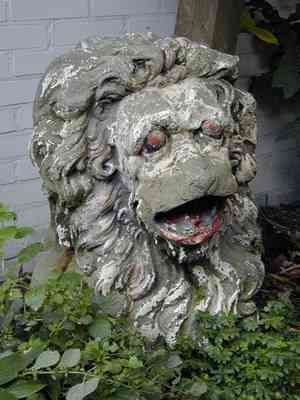 Kingma lions