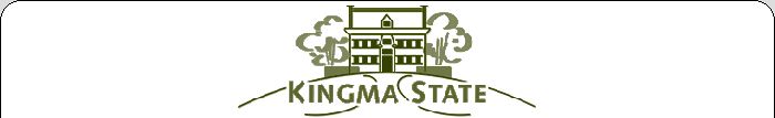 Menubalk van de nieuwe website: Startpagina, Historie, De Kinkhoorn, Stichting