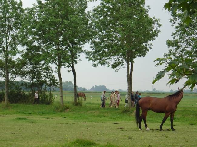 Kingmadag 2005