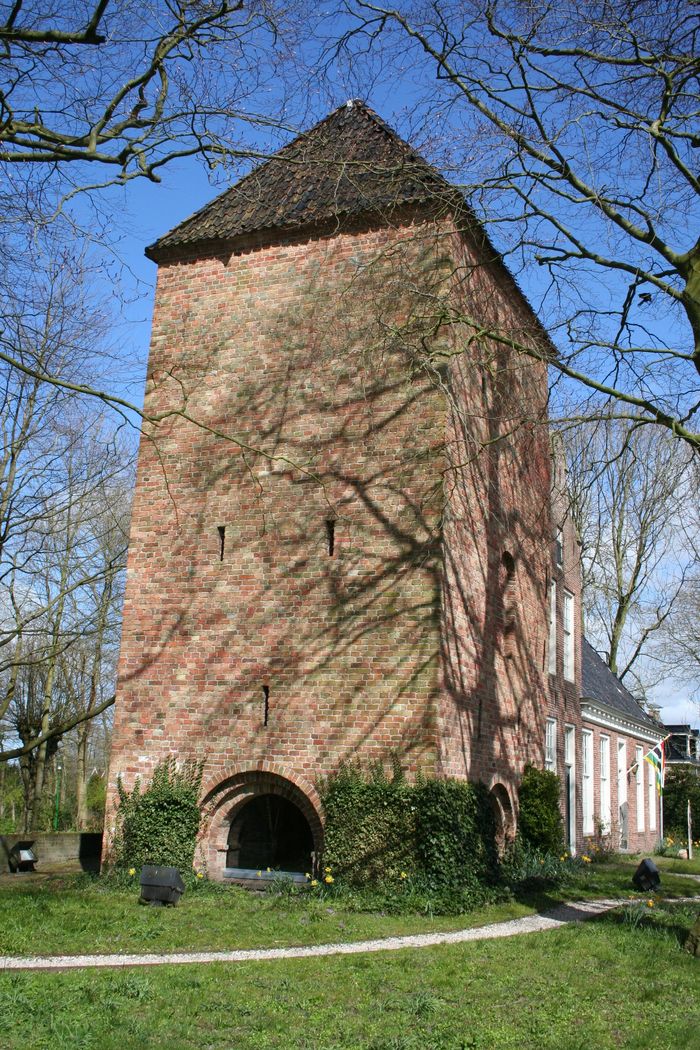 Schierstins in Veenwouden