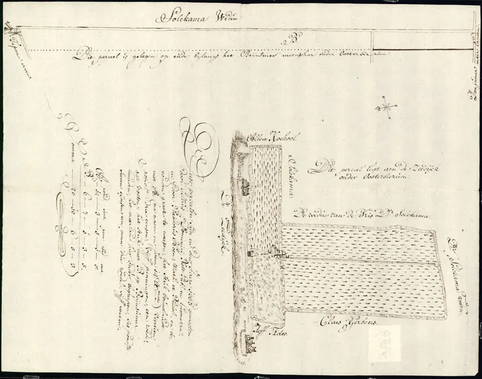 Kopie (achttiende eeuw) van een kaart van de landmeters Gellius Dominicus en T. Hoen uit 1663 van percelen aan de zeedijk bij Oosterbierum, met oppervlakten en naastliggers.